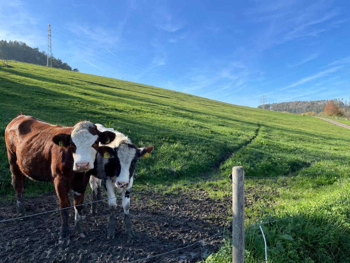 Ferien Im Schwarzwald - Ruhe & Naturverbunden Weilheim 外观 照片