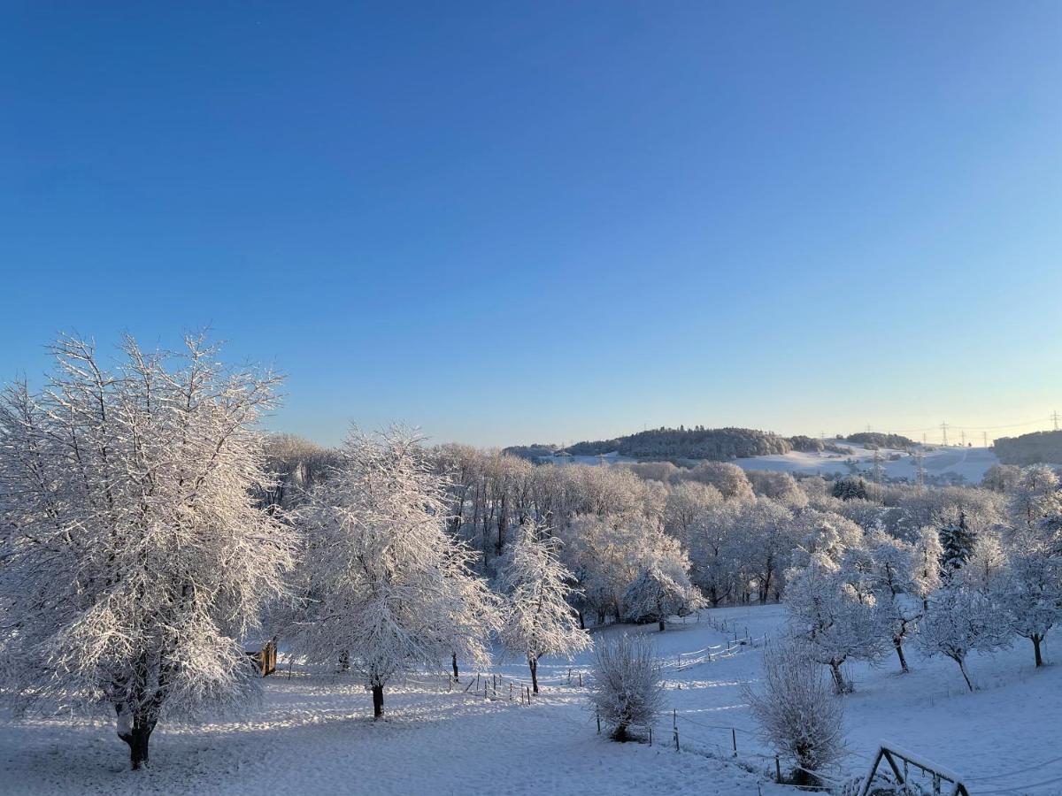 Ferien Im Schwarzwald - Ruhe & Naturverbunden Weilheim 外观 照片