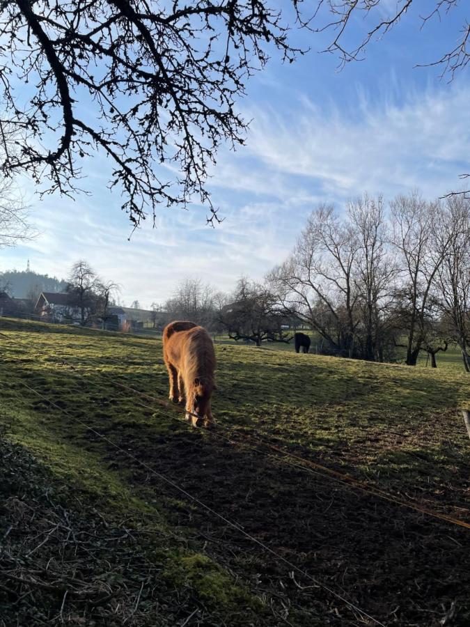 Ferien Im Schwarzwald - Ruhe & Naturverbunden Weilheim 外观 照片